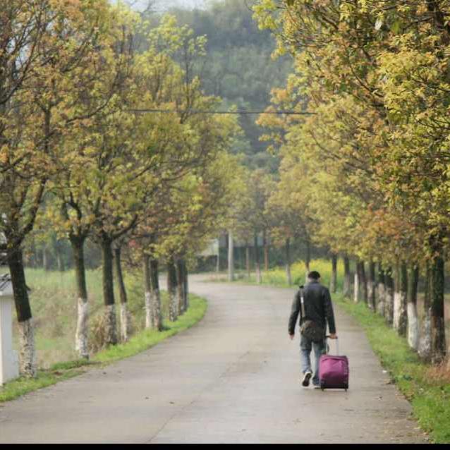 只听船长的互击互利