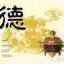 开心每一天