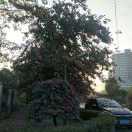 人生路上多方磨练