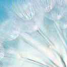 开心每一天35551