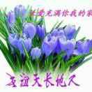 黑色咖啡407
