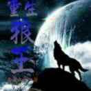 雪狼96959