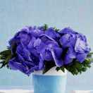 鬼见愁鬼见了都犯愁