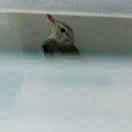 创造自我追求无我21