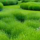 🌾清风明月🌾@