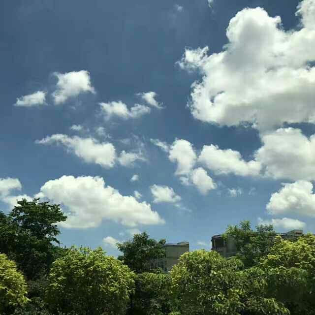 奋斗在路上-开心猜
