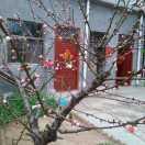 快乐每一天85418