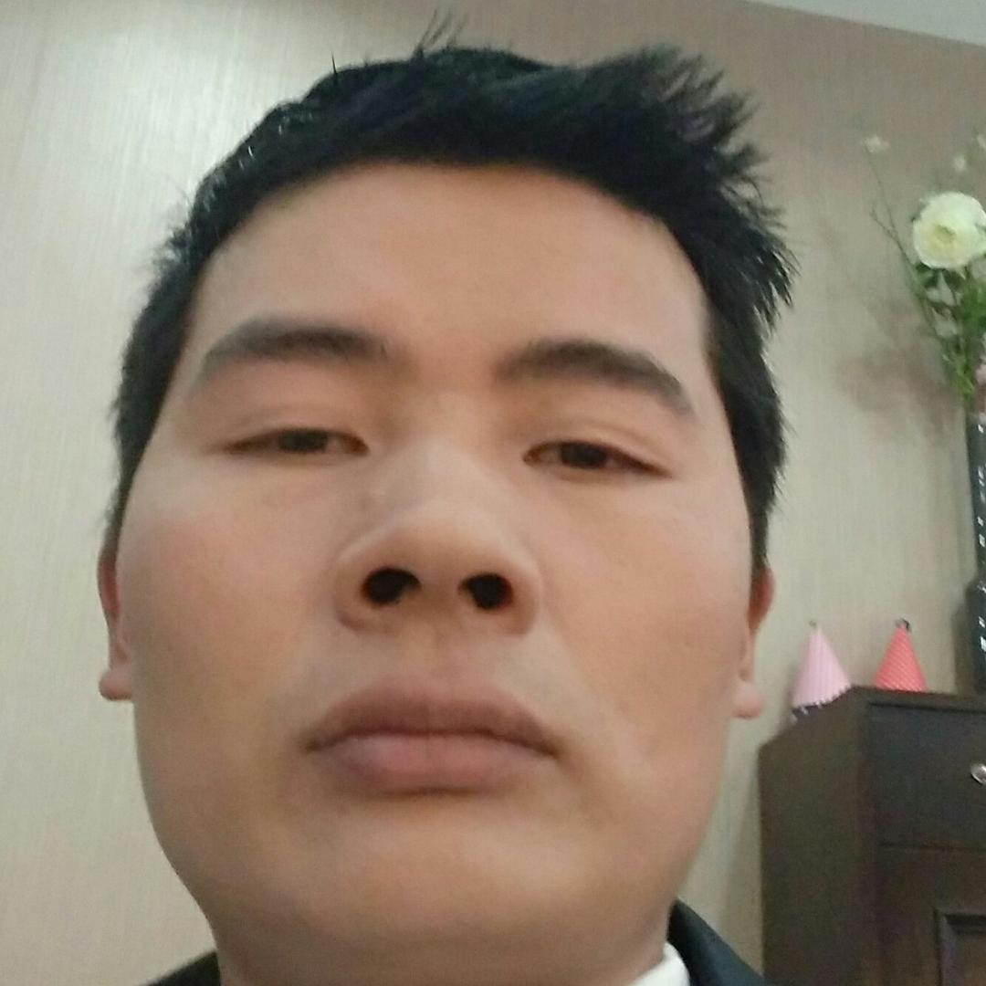 千纸鹤迎风而上