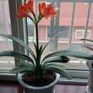 一路阳光首播晚上8点10分