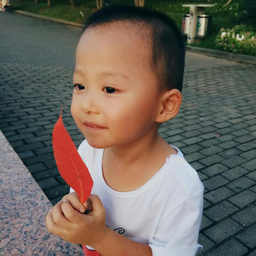 小杨爱剪辑