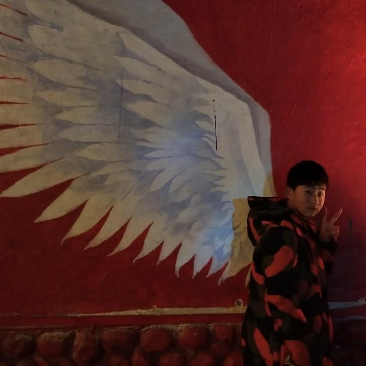 丶秋枫