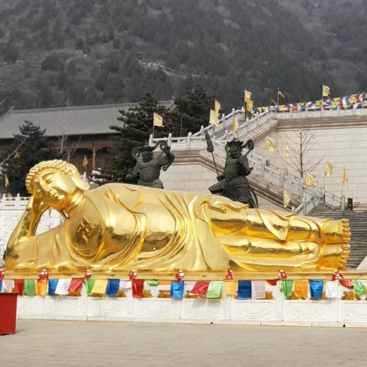 爱抖音的“䈓格”