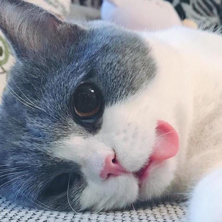 橘柚～