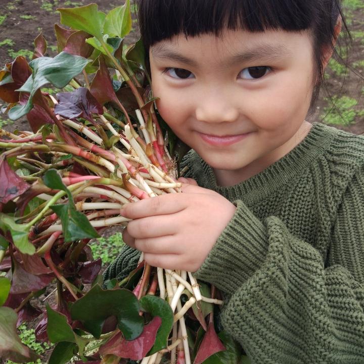 峨眉山舒小妹蔬果店
