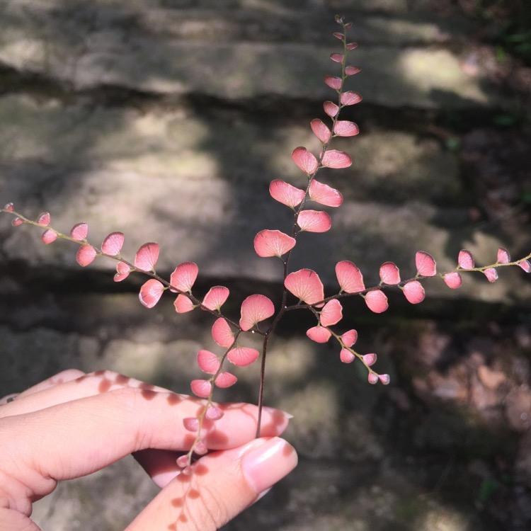 🌞太阳镜