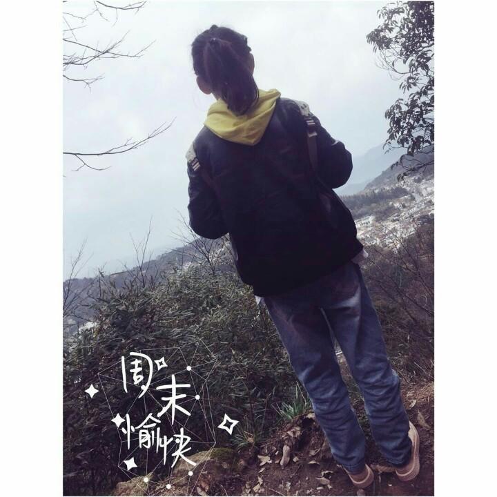 暖南倾绿