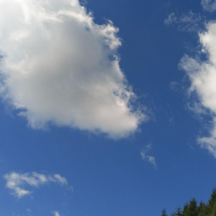 生产加工电线电缆