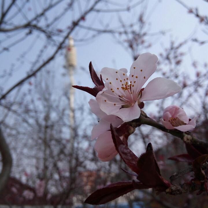 涵冰122