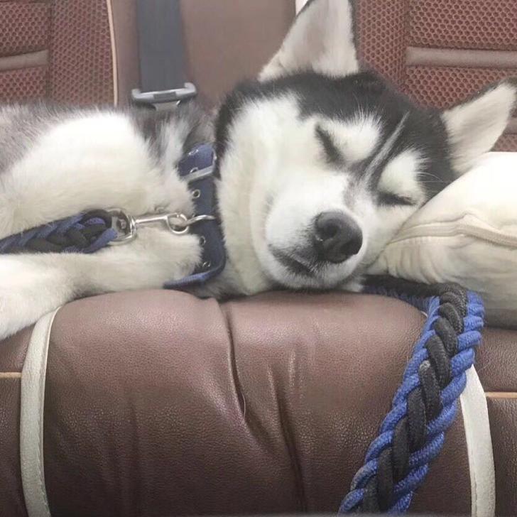 韩韩韩韩韩先森