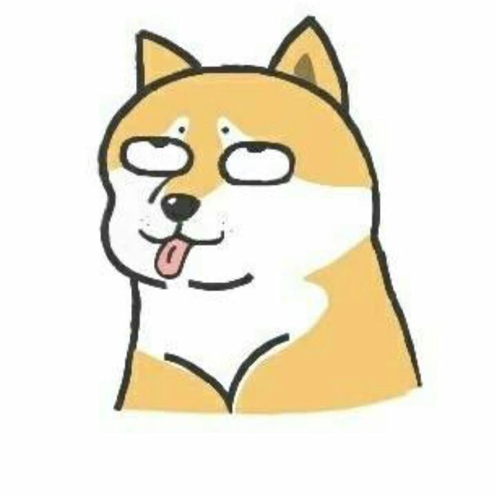 geng geng不坑