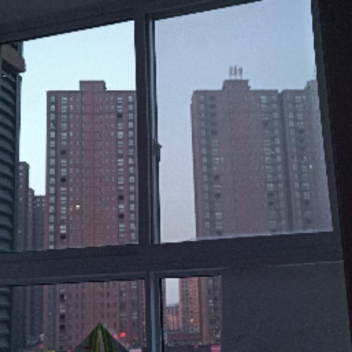 随遇而安