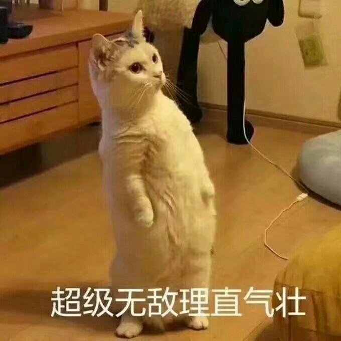 好像是木木🍥