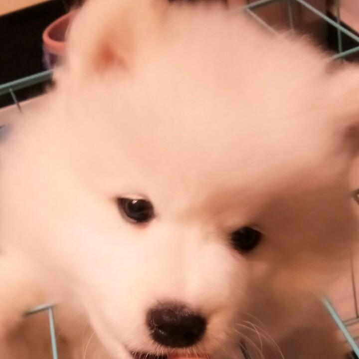 @可乐