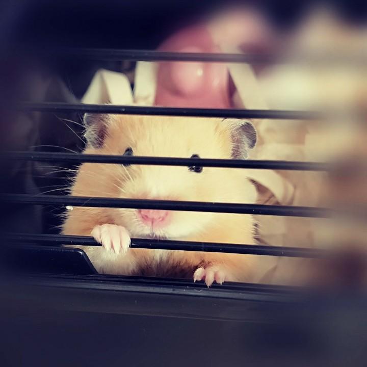 愿有人陪你颠沛流离°