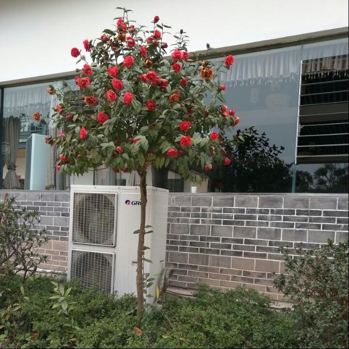 别把无知当个性