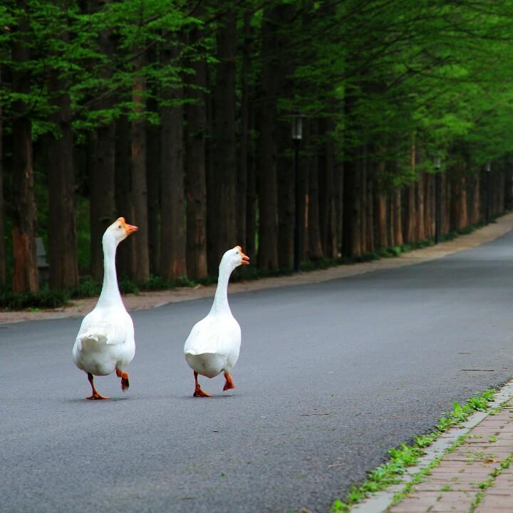 刘艺看泌阳
