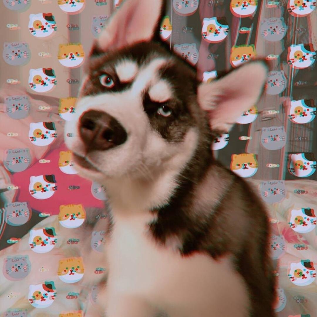 超级甜