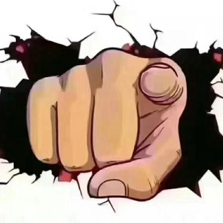 野不如斯