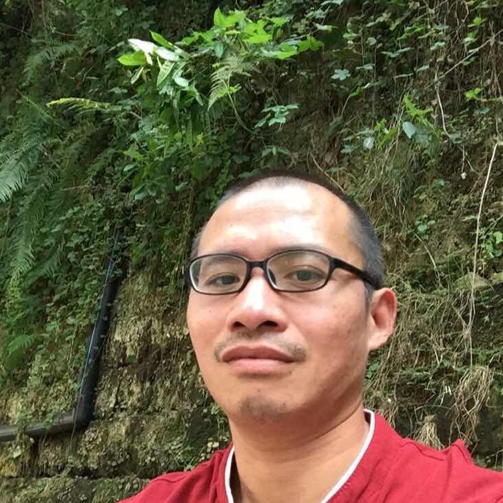 段平