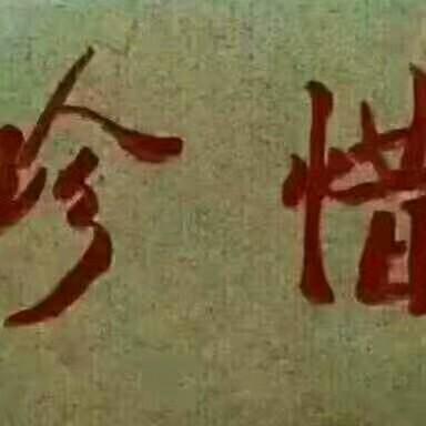 霞霞