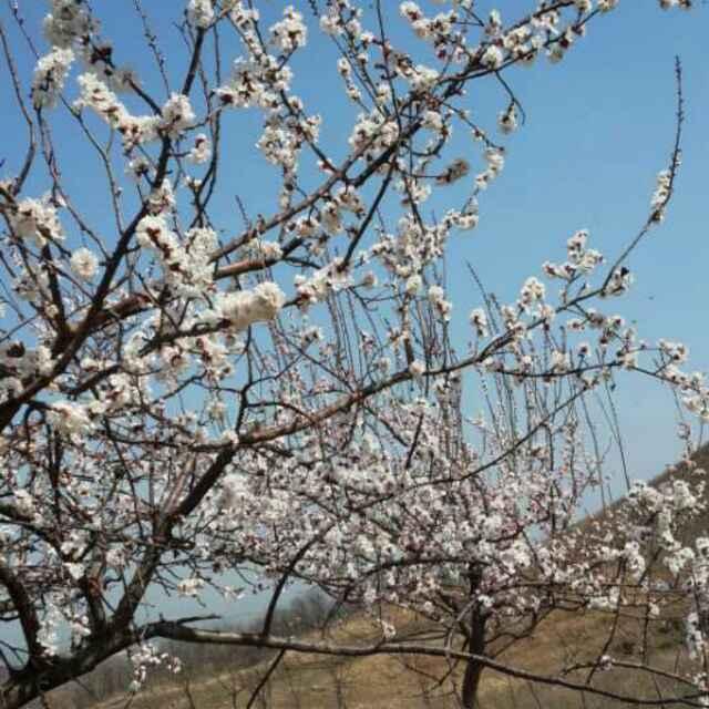 常联系
