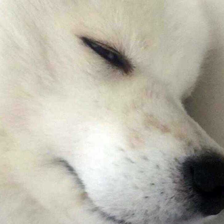 。。。。。。。。