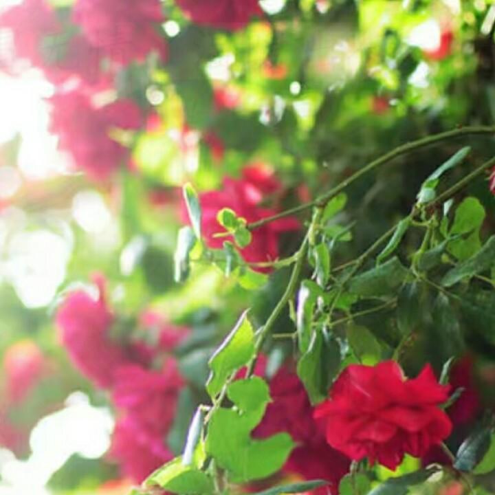 じòぴé↘乖乖囡