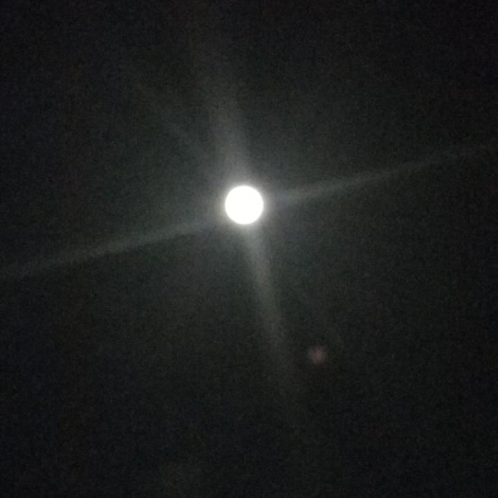 小马哥