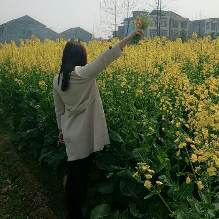 茶陵耳逸专业采耳馆（请勿连赞）