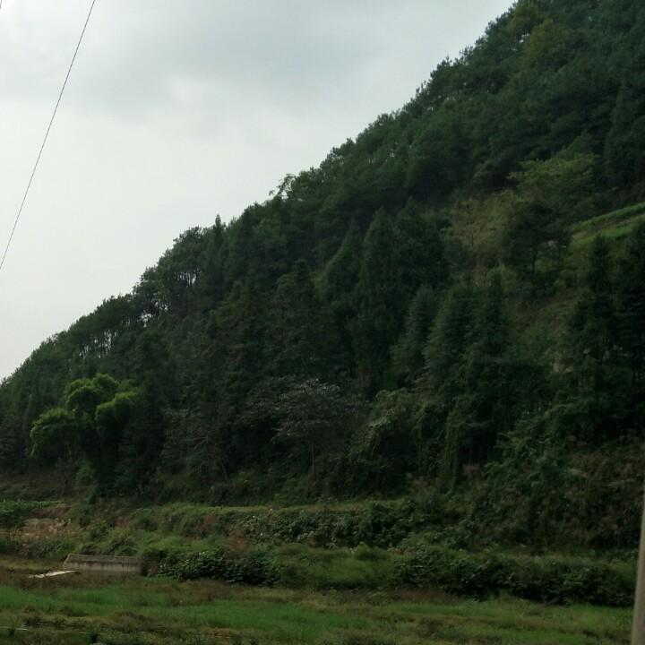 安静