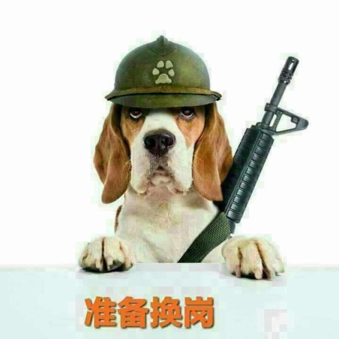 守护&天使