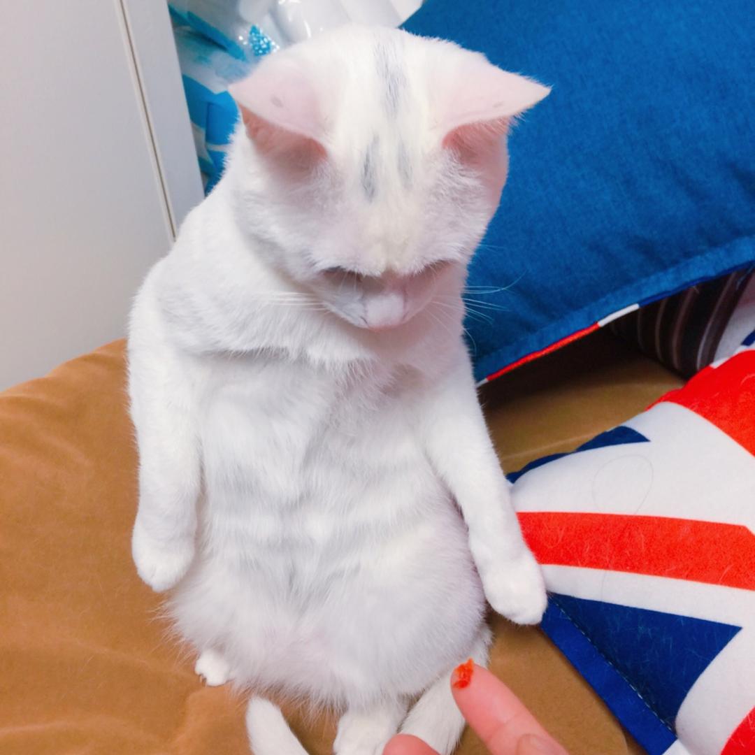 骑着单车听着歌