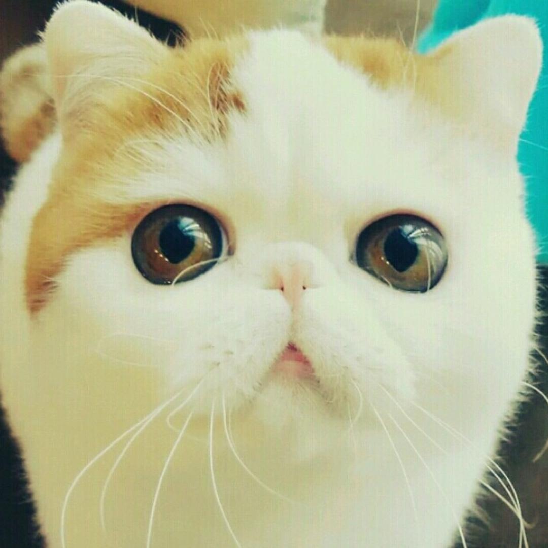 是大悦子呀。