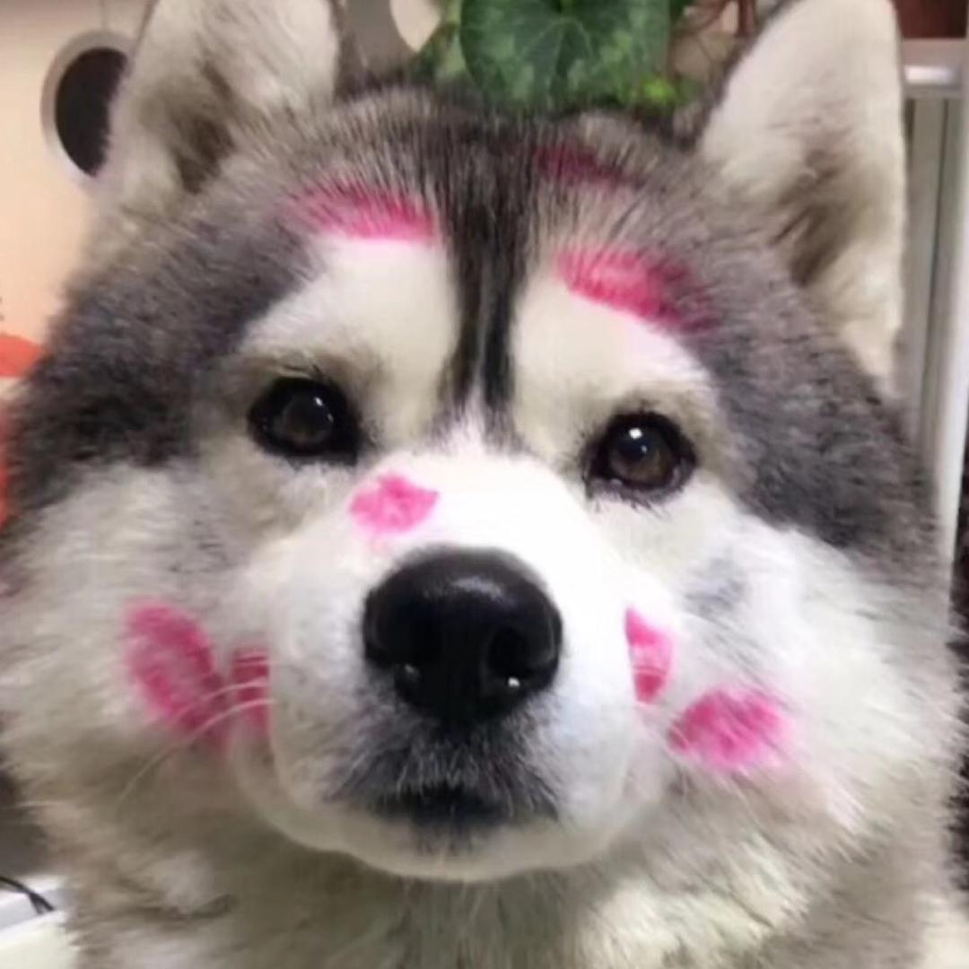哈K