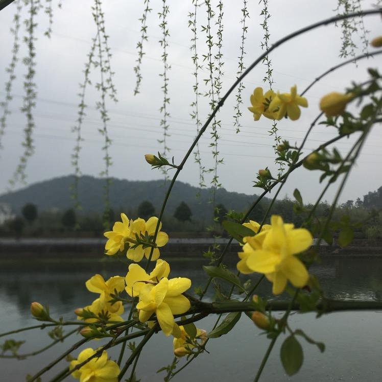 畲山客农产创意屋