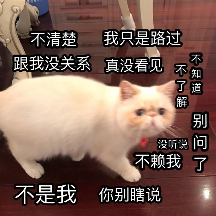 彭鸭梨