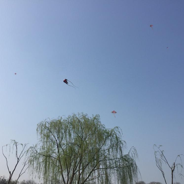 严三岁