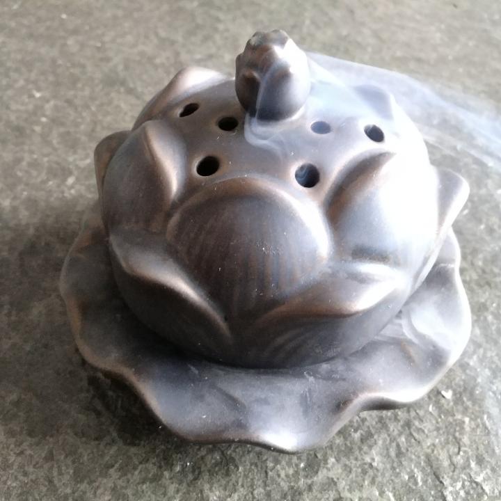 新的心