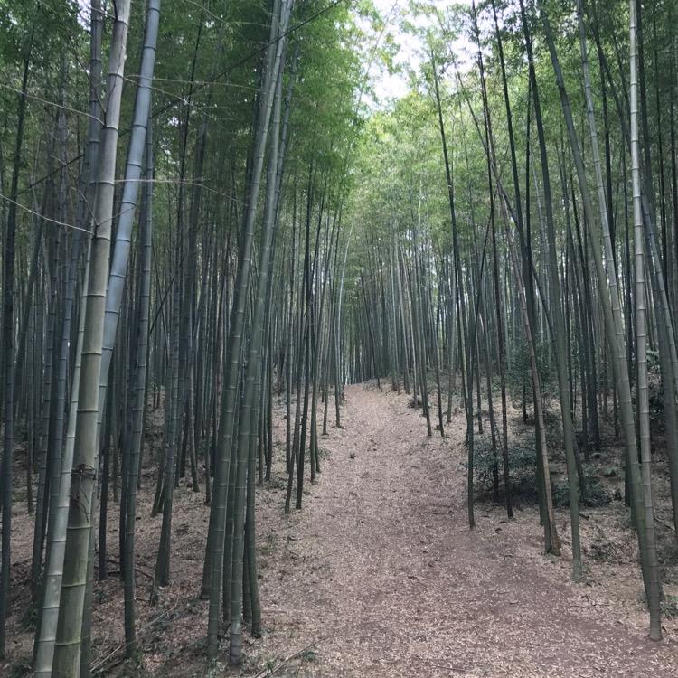 立瑞商贸（专供商超居家百货）