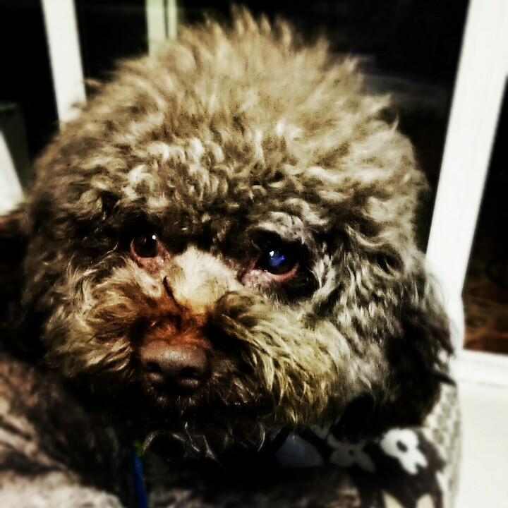 一样的烟火丶不一样的我